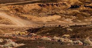 《棕色尘埃2》STEAM版上线4日愿望单破10w,定档12／16！蓝绿修改器+邮箱登录将上线！（TBD）